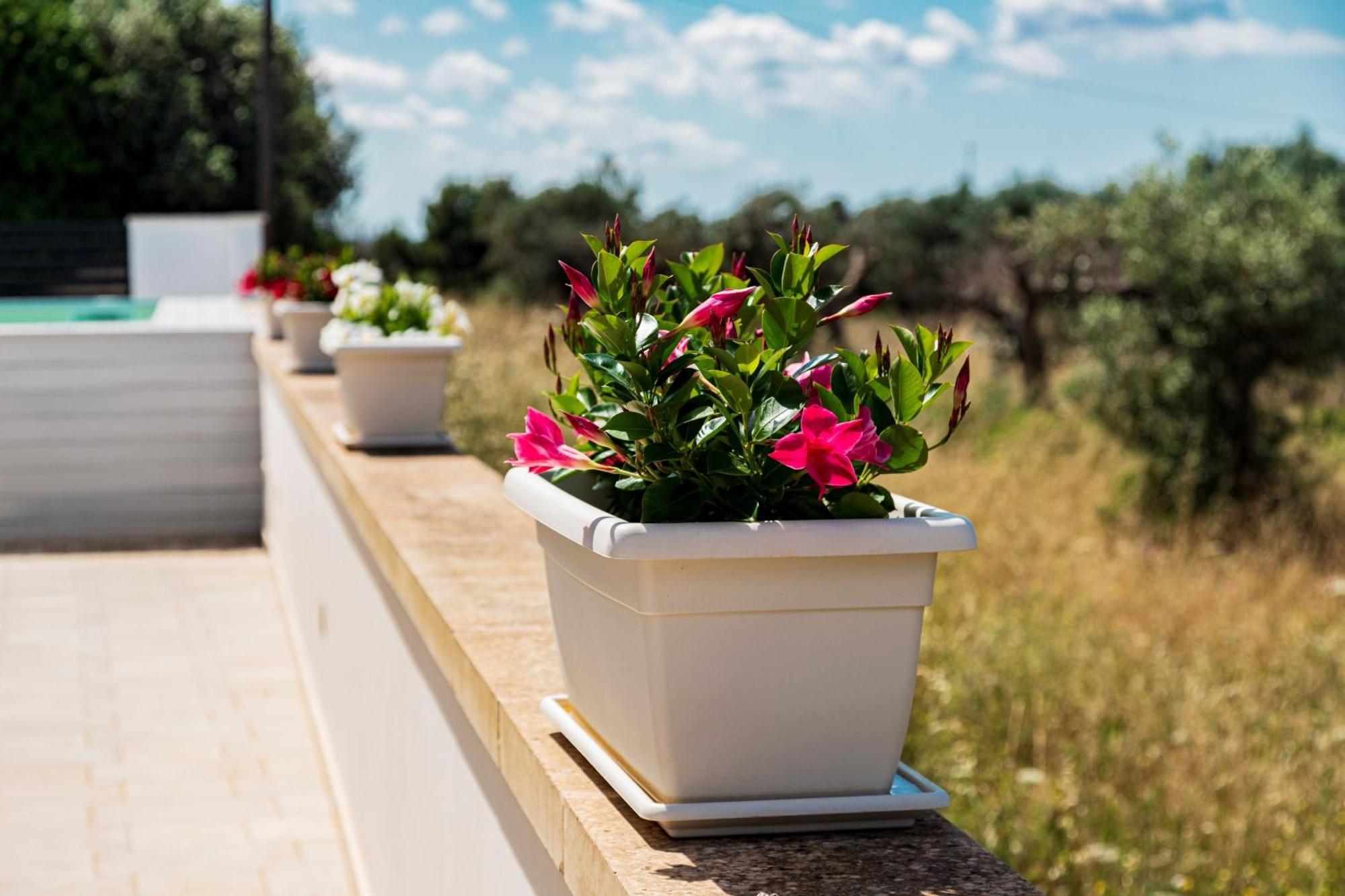 B&B Villa Noemi Porto Cesareo Exterior photo